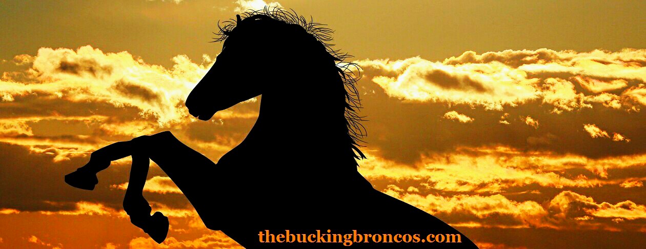 Saddle Up, Broncos Country, and Ride the White Horse!